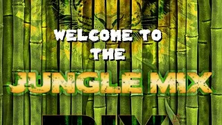 Erasmus Paris : Welcome to The Jungle Mix