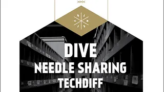 Fest Musique Electro Industrielle : Dive + Needle Sharing + Techdiff + Oyaarss +2Kilos&More