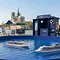 MSC croisières
