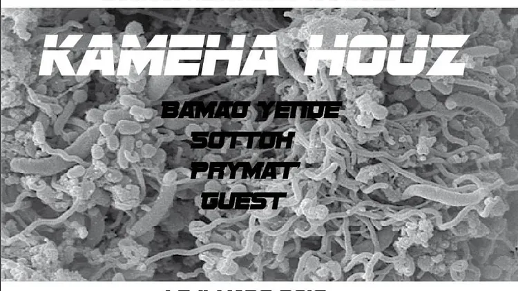 KAMEHA HOUZ