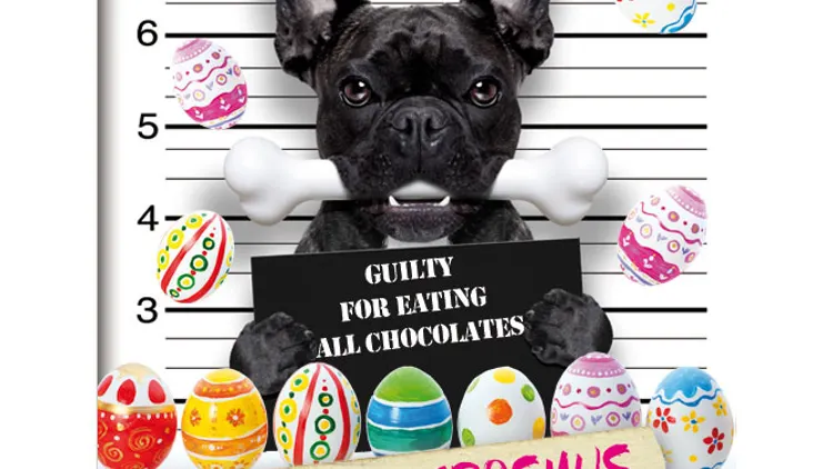 EASTER PARTY