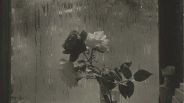 Josef Sudek Le monde à ma fenêtre