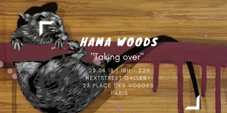 Vernissage de l'artiste Hama Woods