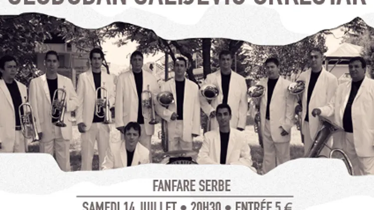 Slobodan Salijevic Orkestar