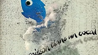 Pas un poisson dans un bocal - spectacle dès 2 ans