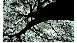 DEEPLY ROOTED W/DJ DEEP - TERENCE FIXMER - LEIF