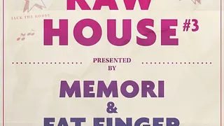 Raw House #3