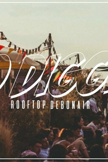 NO DIGGITY Rooftop Edition
