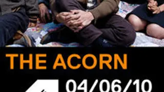 The Acorn