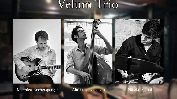 Velum trio
