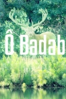 POP Ô BADABOUM - BIGOTT + ALPES