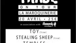 Disquaire Day PArty - Toy + stealing sheep + charlie boyer & the voyeurs