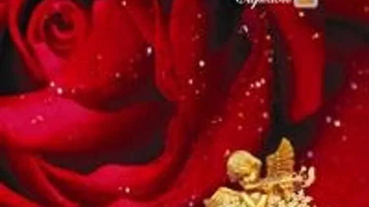 Divinity "Cupidon"