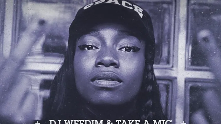 LITTLE SIMZ en concert