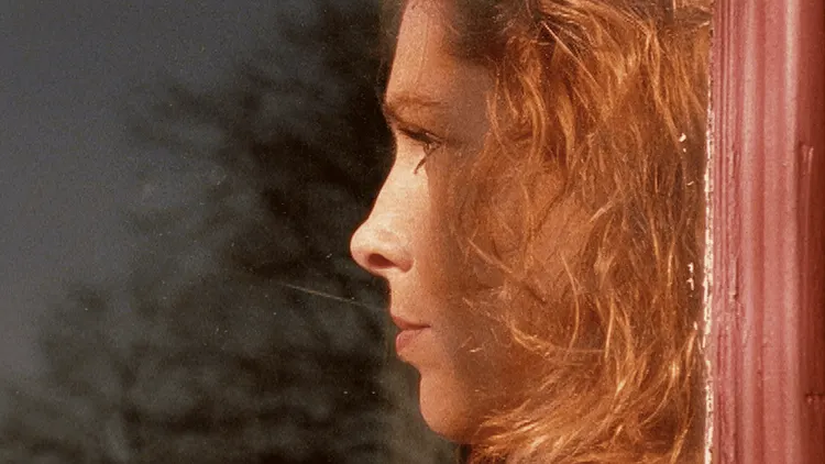 Projection du film Thru’ Dutch Eyes de Pieter van der Houwen