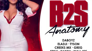 B2S Anatomy