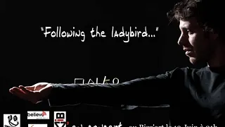 Malko "follow the bird..."