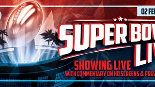 Super Bowl LIVE at Belushi's Canal !