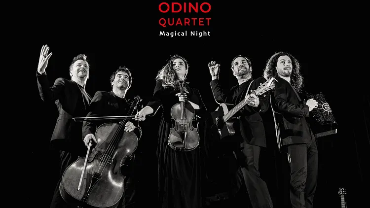 Magical Night