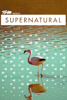 Faust x Supernatural : Tube & Berger, FDVM, Wielki
