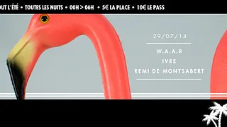 SAVE - w.a.a.r, ivre, rémi de montsabert