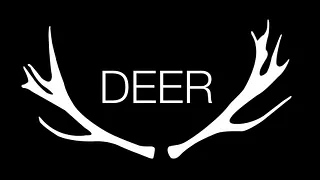 DEER en concert
