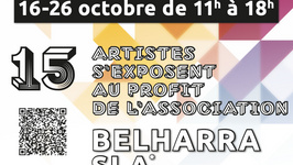15 artistes s'exposent pour Belharra SLA