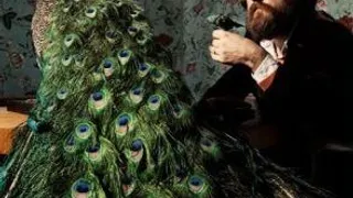 IRON AND WINE