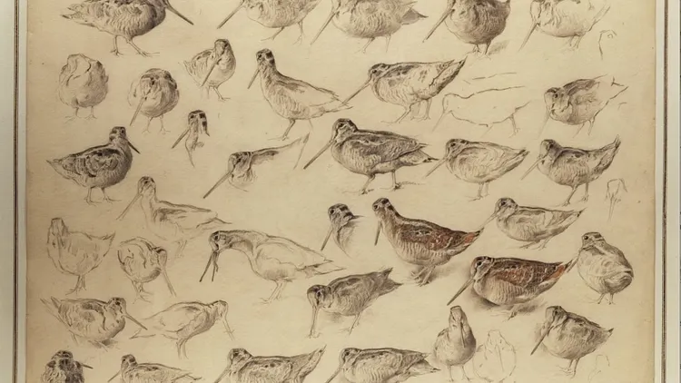 Xavier de Poret - Dessins du XXème