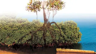 L'océan régulateur du climat
