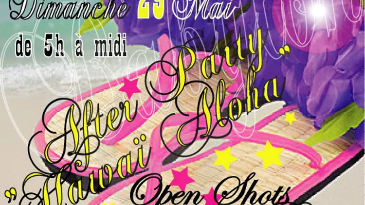After Party Hawaï Aloha
