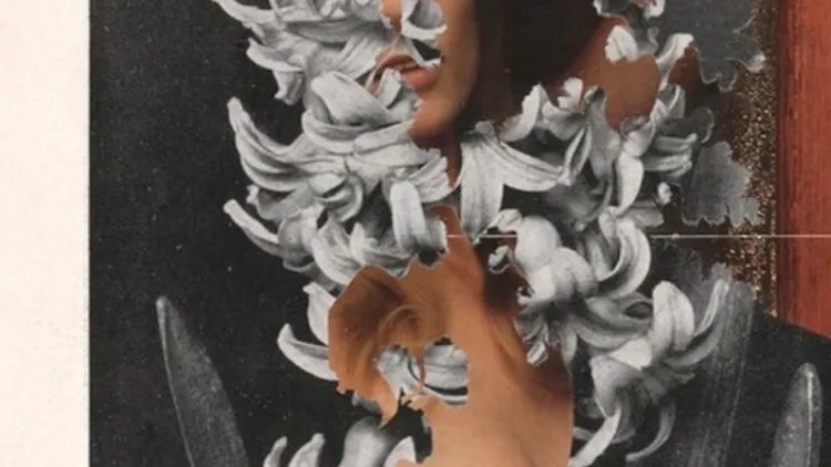 Paolo Giardi - The Botanist : You Can Learn a Lot of Things From the Flowers