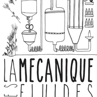 La Mécanique des Fluides