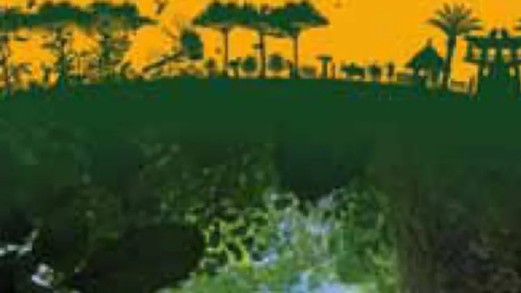 Forêts tropicales humides, avenir de la planète