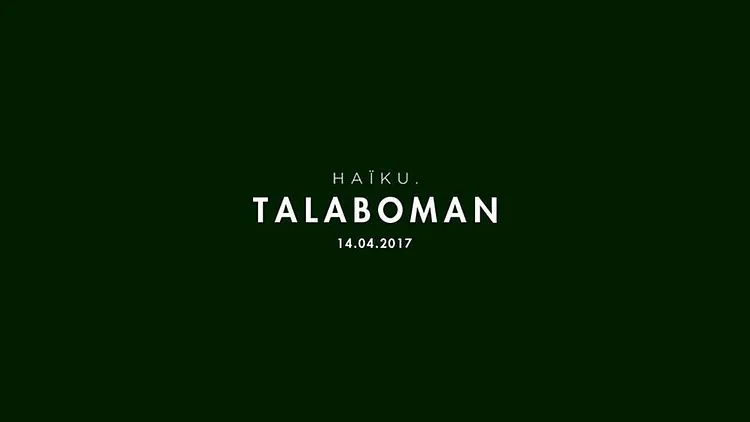H A ï K U avec Talaboman (John Talabot x Axel Boman)