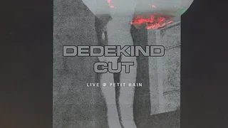 I’VE SEEN THE FUTURE 13 : DEDEKIND CUT