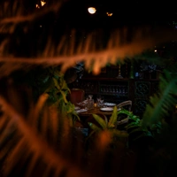 Jungle Palace
