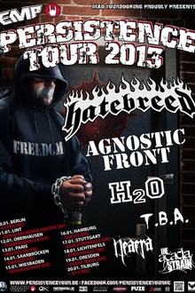 Peristence Tour 2013