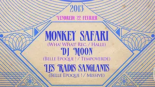 Monkey Safari
