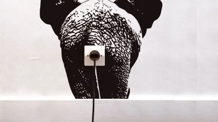 Exposition Animal