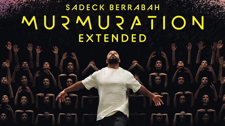 Murmuration Extended