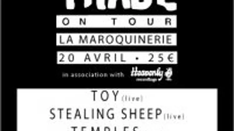 Disquaire Day PArty - Toy + stealing sheep + charlie boyer & the voyeurs