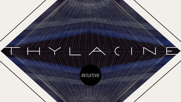 Superpoze ( dj set ) + Thylacine en concert