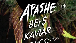 brvp 3
