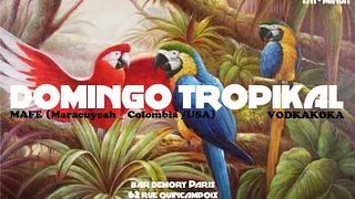 Domingo Tropikal Edition 2