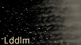 LDDLM