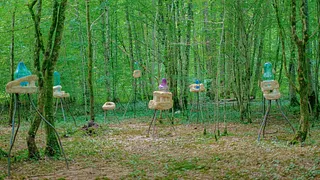 ÊTRE COLLECTIF, de la convivialité par nature
