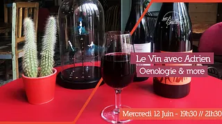 Le Vin avec Adrien - Oenologie & more