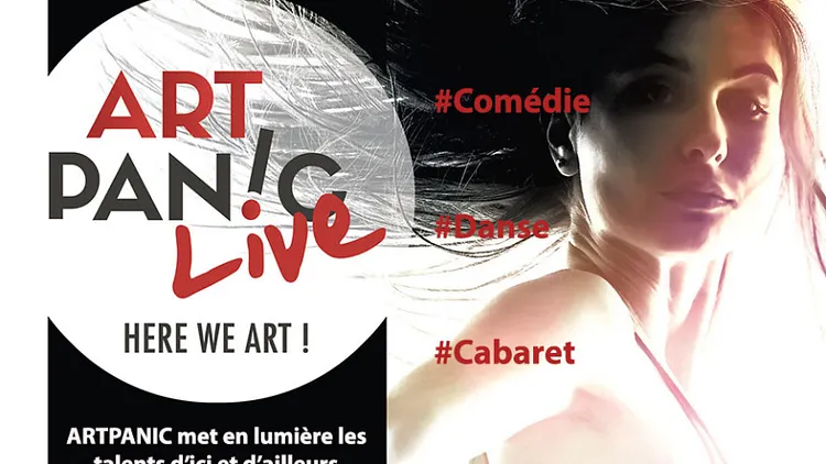 Art Panic Live