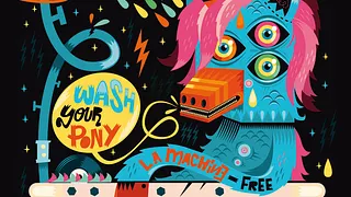 Wash your Pony